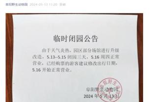 开云官网入口登录网页版